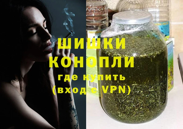 дживик Белокуриха