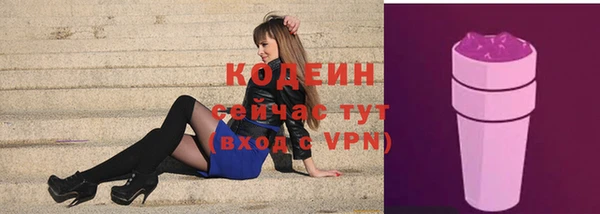 дживик Белокуриха