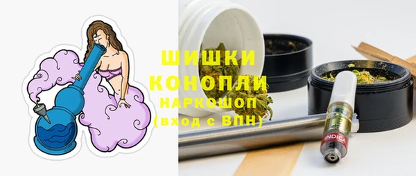 дживик Белокуриха