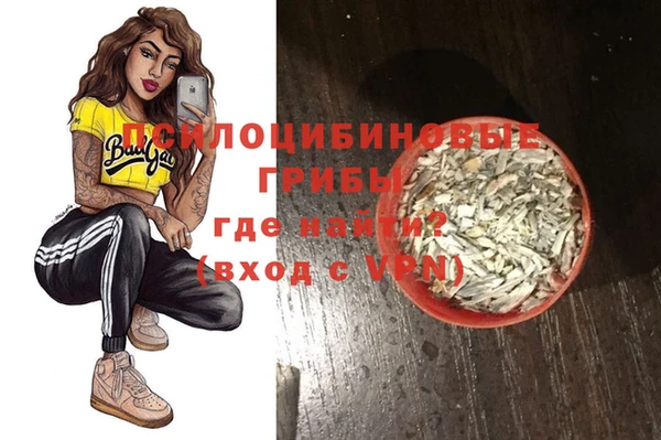 первитин Богданович